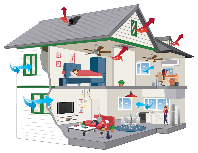 A diagram showing that whole house fans pull fresh air in through a home's windows and push the old air out through the attic, cooling the home and attic at the same time.